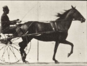 Plate 607 'Lizzie M.l' trotting, harnessed to sulky — figure reference